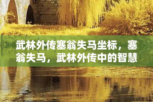 武林外传塞翁失马坐标,塞翁失马,武林外传中的智慧与启示 武林外传塞翁失马坐标,塞翁失马,武林外传中的智慧与启示