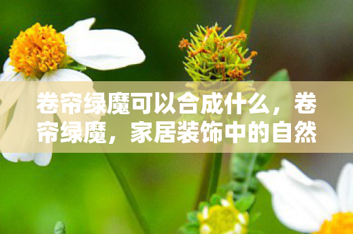 卷帘绿魔可以合成什么，卷帘绿魔，家居装饰中的自然风情