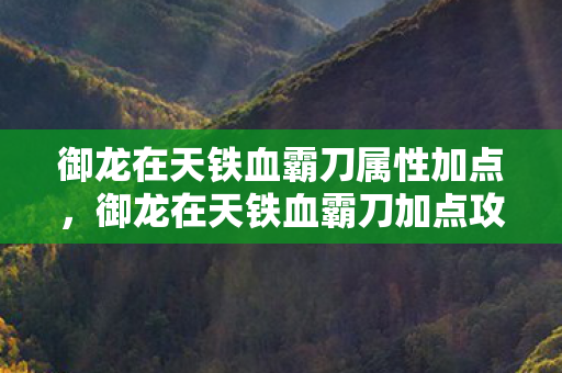 御龙在天铁血霸刀属性加点，御龙在天铁血霸刀加点攻略