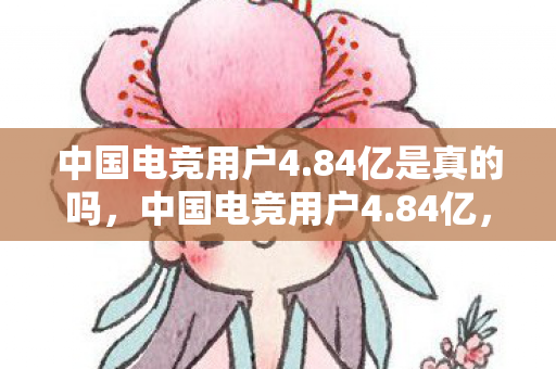 中国电竞用户4.84亿是真的吗，中国电竞用户4.84亿，探索电竞市场的无限可能