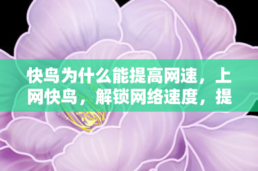 快鸟为什么能提高网速，上网快鸟，解锁网络速度，提升在线体验
