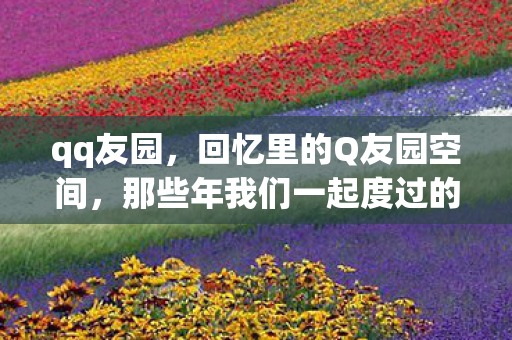 qq友园，回忆里的Q友园空间，那些年我们一起度过的青春时光