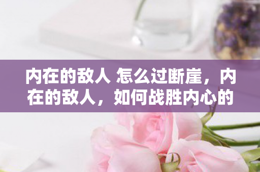 内在的敌人 怎么过断崖,内在的敌人,如何战胜内心的恐惧与不安 内在的敌人 怎么过断崖,内在的敌人,如何战胜内心的恐惧与不安