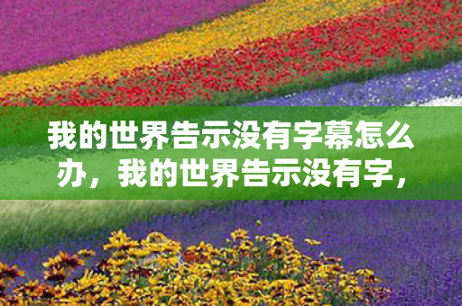 我的世界告示没有字幕怎么办,我的世界告示没有字,探索神秘信息的秘密 我的世界告示没有字幕怎么办,我的世界告示没有字,探索神秘信息的秘密