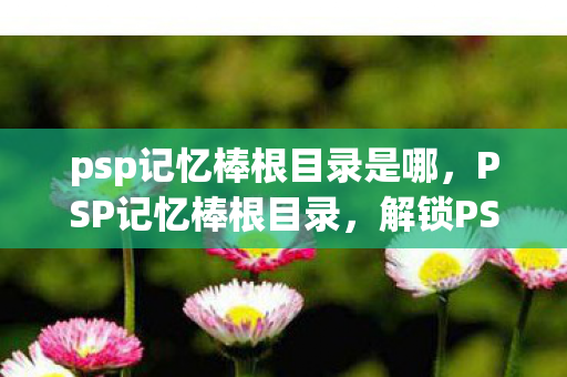 psp记忆棒根目录是哪,PSP记忆棒根目录,解锁PSP存储的奥秘 psp记忆棒根目录是哪,PSP记忆棒根目录,解锁PSP存储的奥秘
