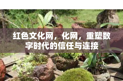 红色文化网,化网,重塑数字时代的信任与连接 红色文化网,化网,重塑数字时代的信任与连接