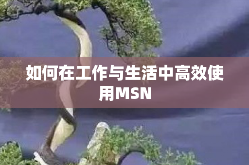 如何在工作与生活中高效使用MSN