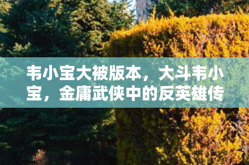 韦小宝大被版本，大斗韦小宝，金庸武侠中的反英雄传奇