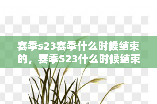 赛季s23赛季什么时候结束的，赛季S23什么时候结束？详解王者荣耀S23赛季时间