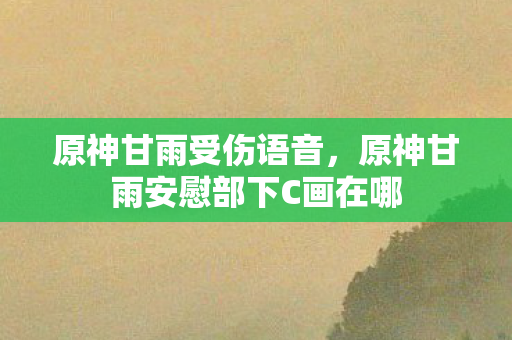原神甘雨受伤语音，原神甘雨安慰部下C画在哪