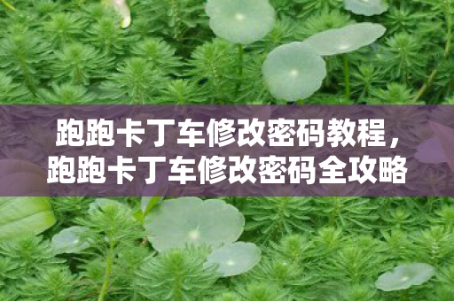 跑跑卡丁车修改密码教程,跑跑卡丁车修改密码全攻略,保障账号安全,畅享游戏乐趣 跑跑卡丁车修改密码教程,跑跑卡丁车修改密码全攻略,保障账号安全,畅享游戏乐趣