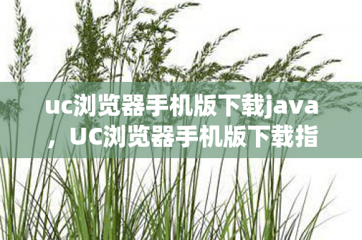 uc浏览器手机版下载java,UC浏览器手机版下载指南,轻松掌握下载步骤与注意事项 uc浏览器手机版下载java,UC浏览器手机版下载指南,轻松掌握下载步骤与注意事项