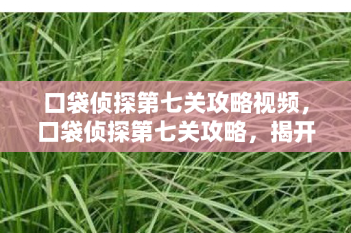 口袋侦探第七关攻略视频，口袋侦探第七关攻略，揭开真相的序幕