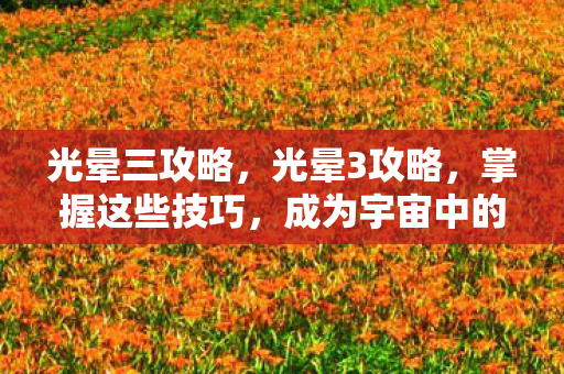 光晕三攻略，光晕3攻略，掌握这些技巧，成为宇宙中的传奇英雄