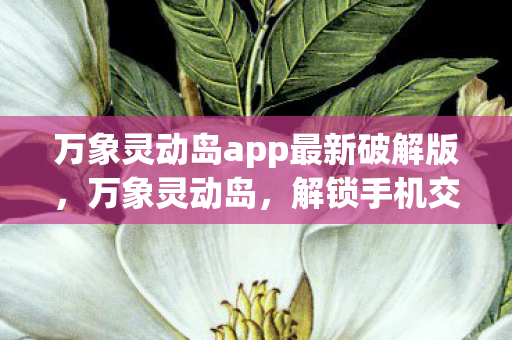 万象灵动岛app最新破解版，万象灵动岛，解锁手机交互新体验