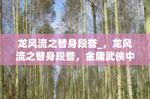 龙风流之替身段誉_,龙风流之替身段誉,金庸武侠中的另类传奇 龙风流之替身段誉_,龙风流之替身段誉,金庸武侠中的另类传奇