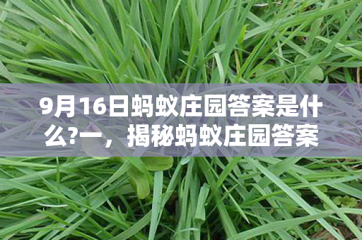 9月16日蚂蚁庄园答案是什么?一，揭秘蚂蚁庄园答案背后的秘密，一场知识与乐趣的碰撞