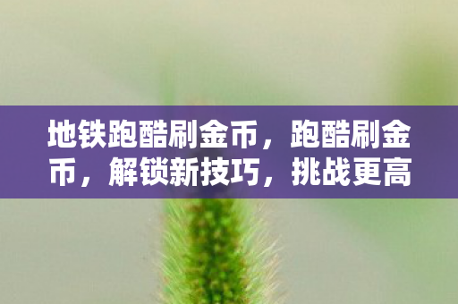 地铁跑酷刷金币，跑酷刷金币，解锁新技巧，挑战更高分！