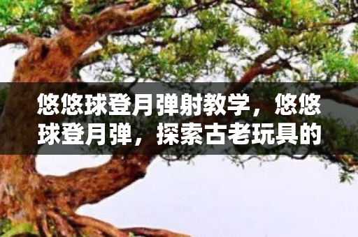 悠悠球登月弹射教学，悠悠球登月弹，探索古老玩具的新境界