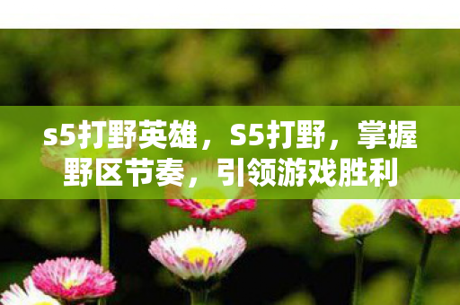 s5打野英雄，S5打野，掌握野区节奏，引领游戏胜利