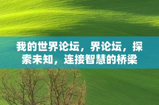 我的世界论坛,界论坛,探索未知,连接智慧的桥梁 我的世界论坛,界论坛,探索未知,连接智慧的桥梁