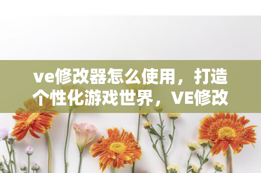 ve修改器怎么使用,打造个性化游戏世界,VE修改器使用教程 ve修改器怎么使用,打造个性化游戏世界,VE修改器使用教程