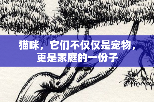 猫咪,它们不仅仅是宠物,更是家庭的一份子 猫咪,它们不仅仅是宠物,更是家庭的一份子