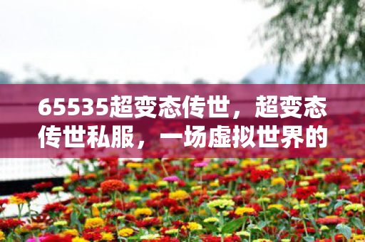 65535超变态传世,超变态传世私服,一场虚拟世界的冒险 65535超变态传世,超变态传世私服,一场虚拟世界的冒险