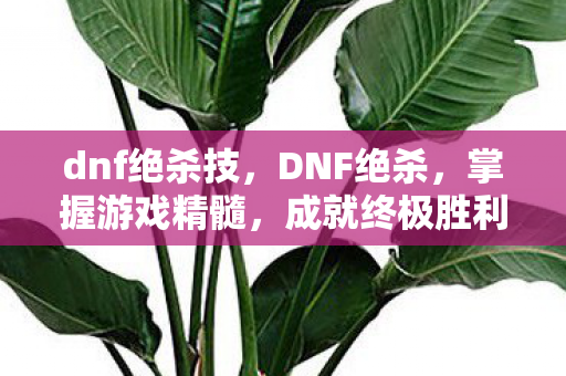 dnf绝杀技,DNF绝杀,掌握游戏精髓,成就终极胜利 dnf绝杀技,DNF绝杀,掌握游戏精髓,成就终极胜利