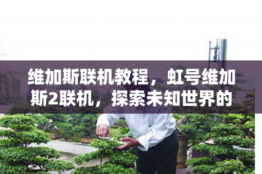 维加斯联机教程,虹号维加斯2联机,探索未知世界的冒险之旅 维加斯联机教程,虹号维加斯2联机,探索未知世界的冒险之旅