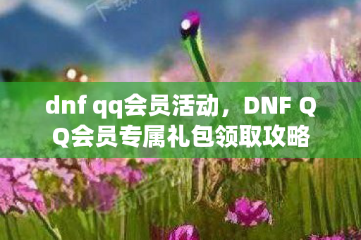 dnf qq会员活动，DNF QQ会员专属礼包领取攻略