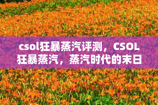 csol狂暴蒸汽评测,CSOL狂暴蒸汽,蒸汽时代的末日生存挑战 csol狂暴蒸汽评测,CSOL狂暴蒸汽,蒸汽时代的末日生存挑战