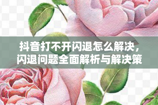 抖音打不开闪退怎么解决，闪退问题全面解析与解决策略
