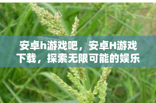 安卓h游戏吧,安卓H游戏下载,探索无限可能的娱乐新领域 安卓h游戏吧,安卓H游戏下载,探索无限可能的娱乐新领域