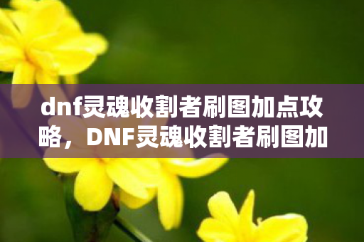 dnf灵魂收割者刷图加点攻略,DNF灵魂收割者刷图加点攻略 dnf灵魂收割者刷图加点攻略,DNF灵魂收割者刷图加点攻略