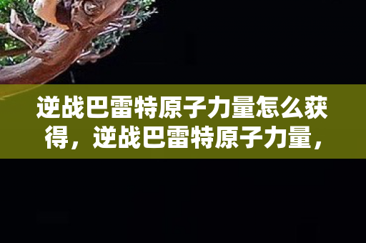 逆战巴雷特原子力量怎么获得，逆战巴雷特原子力量，揭秘强大的武器背后的故事