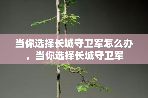 当你选择长城守卫军怎么办,当你选择长城守卫军 当你选择长城守卫军怎么办,当你选择长城守卫军