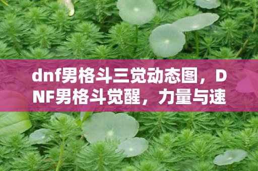 dnf男格斗三觉动态图,DNF男格斗觉醒,力量与速度的完美融合 dnf男格斗三觉动态图,DNF男格斗觉醒,力量与速度的完美融合