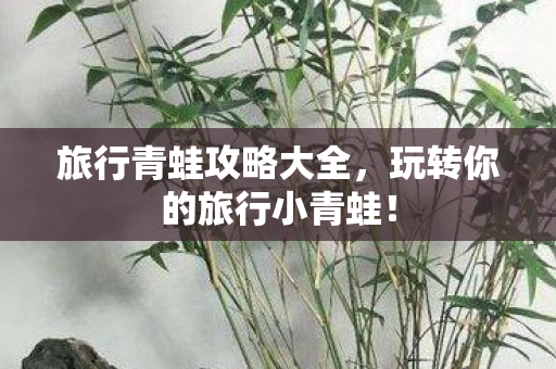 旅行青蛙攻略大全，玩转你的旅行小青蛙！