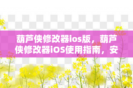 葫芦侠修改器ios版，葫芦侠修改器iOS使用指南，安全、高效的游戏辅助工具