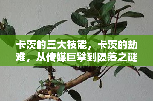 卡茨的三大技能,卡茨的劫难,从传媒巨擘到陨落之谜 卡茨的三大技能,卡茨的劫难,从传媒巨擘到陨落之谜