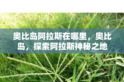 奥比岛阿拉斯在哪里，奥比岛，探索阿拉斯神秘之地