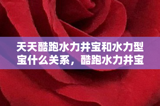 天天酷跑水力井宝和水力型宝什么关系，酷跑水力井宝，解锁城市水资源的智慧钥匙