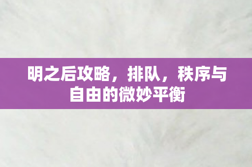 明之后攻略，排队，秩序与自由的微妙平衡