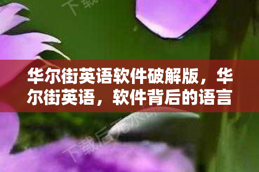 华尔街英语软件破解版，华尔街英语，软件背后的语言学习革命