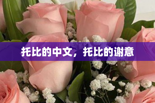 托比的中文,托比的谢意 托比的中文,托比的谢意