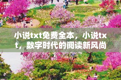 小说txt免费全本,小说txt,数字时代的阅读新风尚 小说txt免费全本,小说txt,数字时代的阅读新风尚