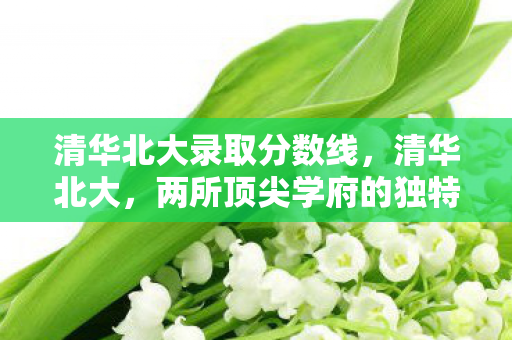 清华北大录取分数线，清华北大，两所顶尖学府的独特魅力与学术追求