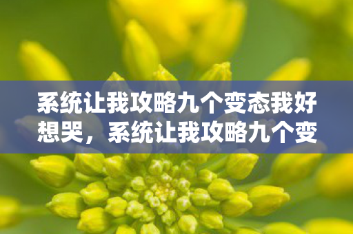 系统让我攻略九个变态我好想哭，系统让我攻略九个变态好想哭