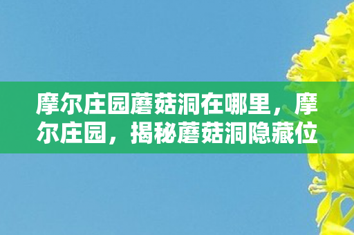 摩尔庄园蘑菇洞在哪里,摩尔庄园,揭秘蘑菇洞隐藏位置,带你探索神秘世界 摩尔庄园蘑菇洞在哪里,摩尔庄园,揭秘蘑菇洞隐藏位置,带你探索神秘世界